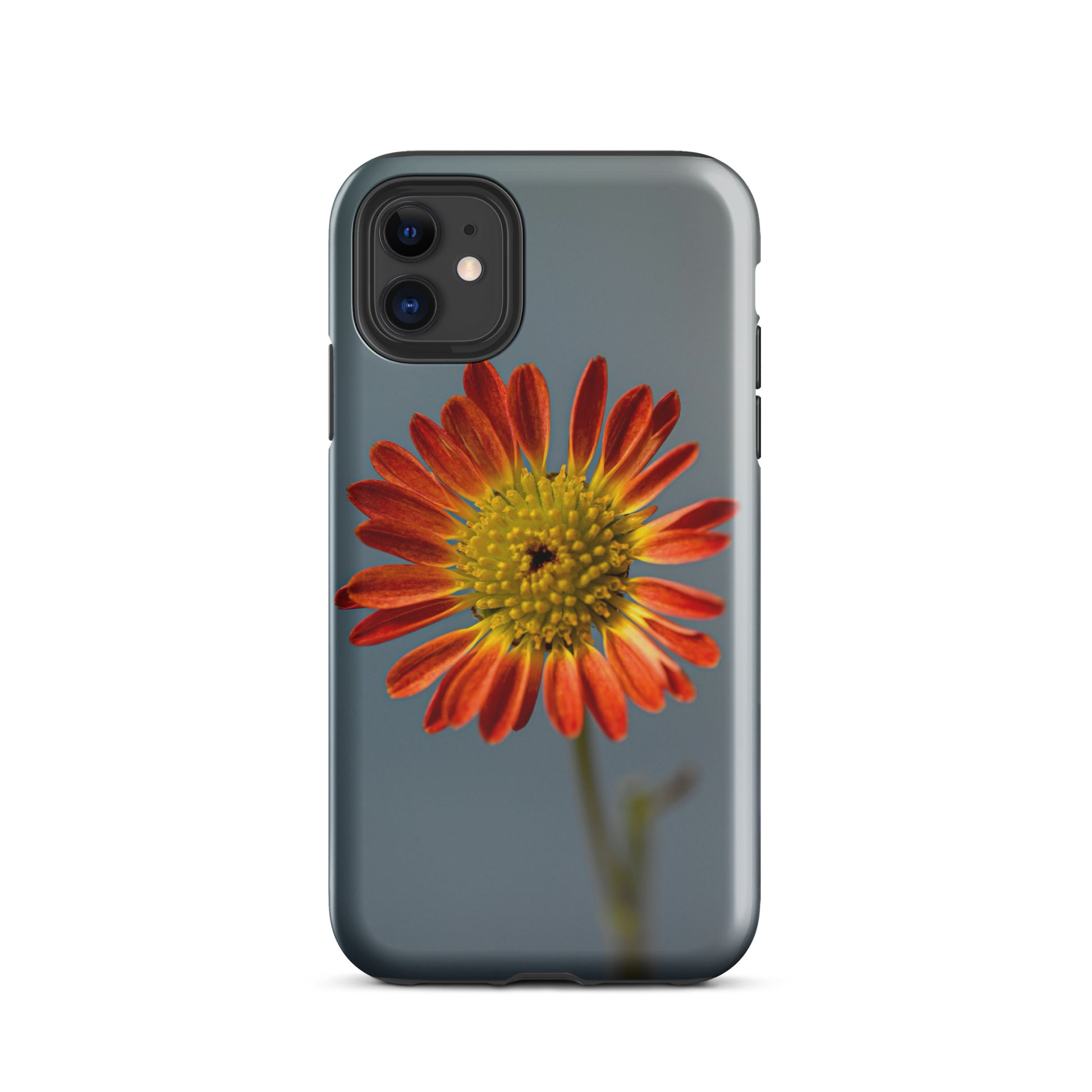 A Solo Flower iPhone Case Phone Cases Co. A Solo Flower iPhone Case Phone Cases Co.
