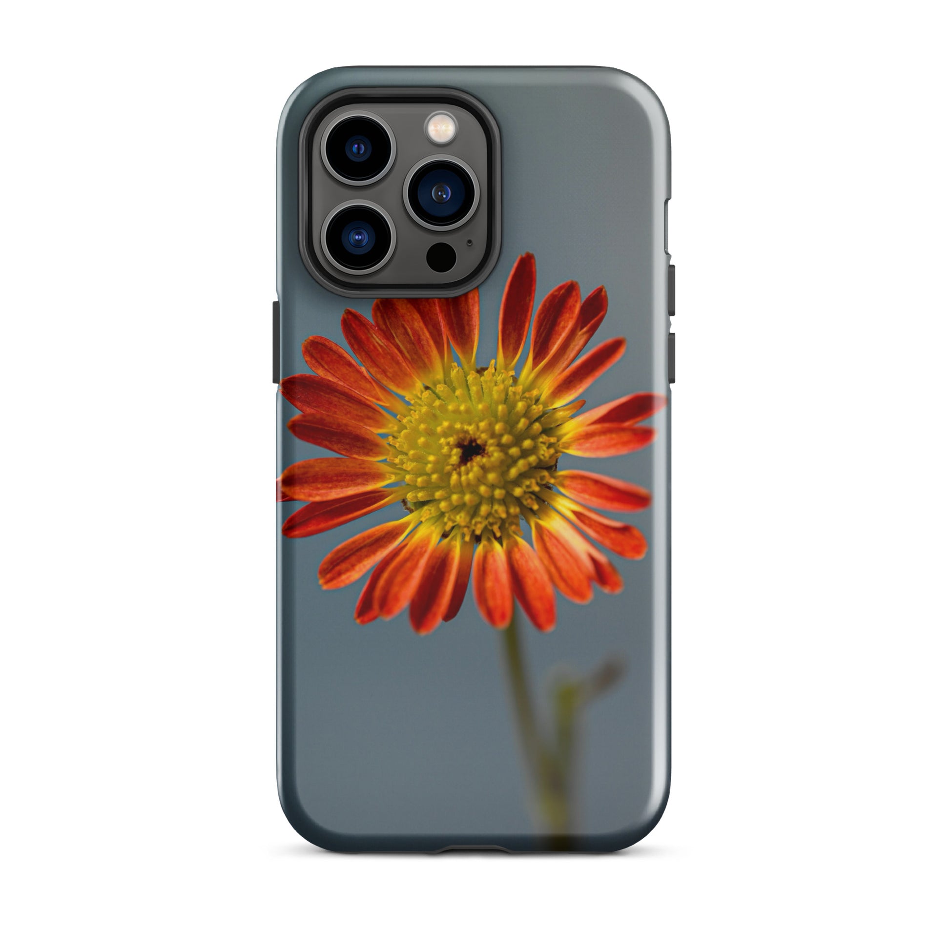 A Solo Flower iPhone® Case – Phone Cases Co A Solo Flower iPhone® Case – Phone Cases Co